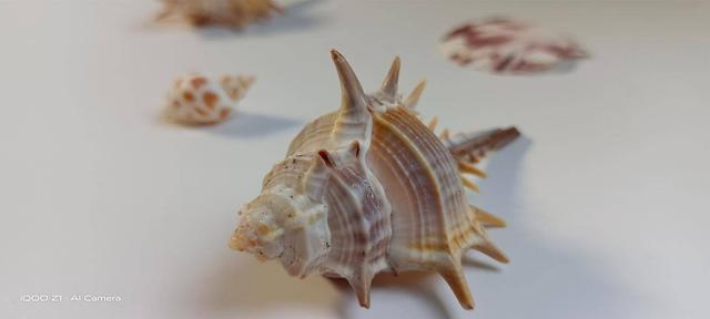 新一代机皇iQOO Z1：突破价位的极致体验