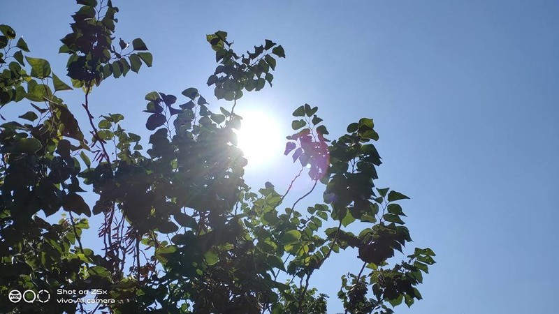 配置性能以及外观均衡，堪称次旗舰的千元机-vivo Z5x，惊喜要远大于遗憾