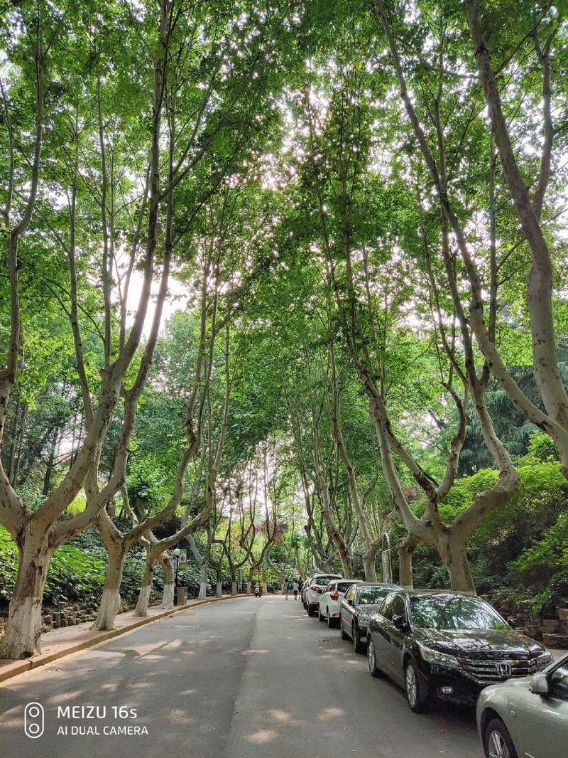 软妹子心目中的魅族16s——这才是我心心念的旗舰手机！