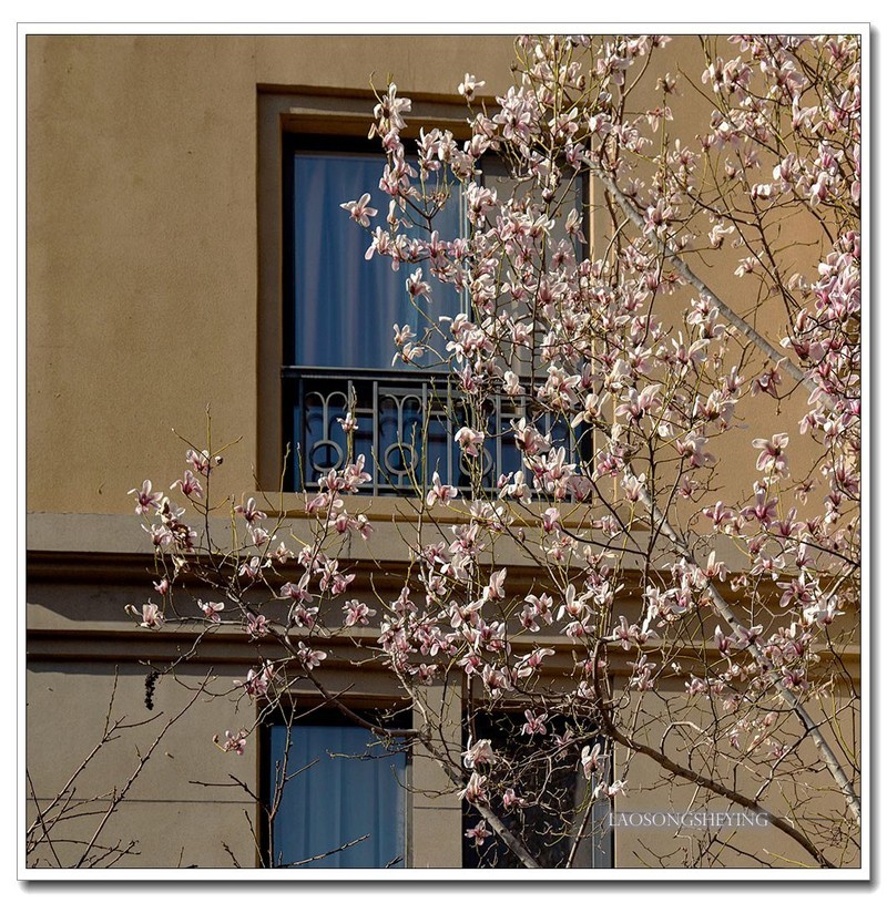 园区春色（2020）