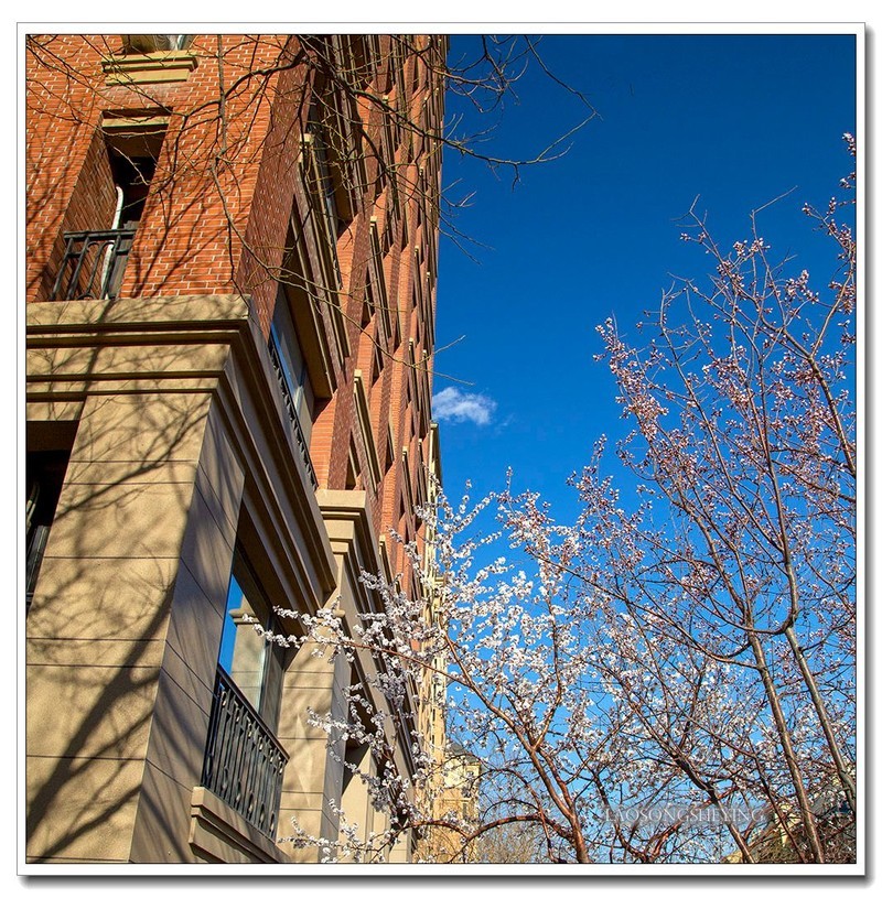 园区春色（2020）