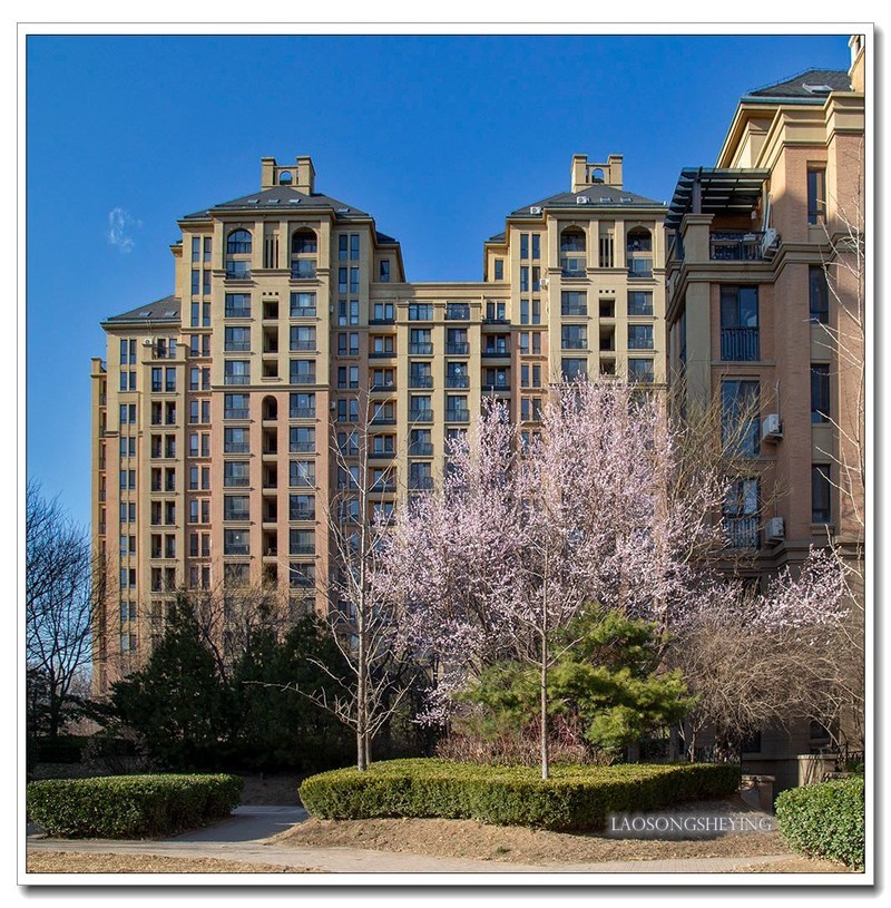 园区春色（2020）