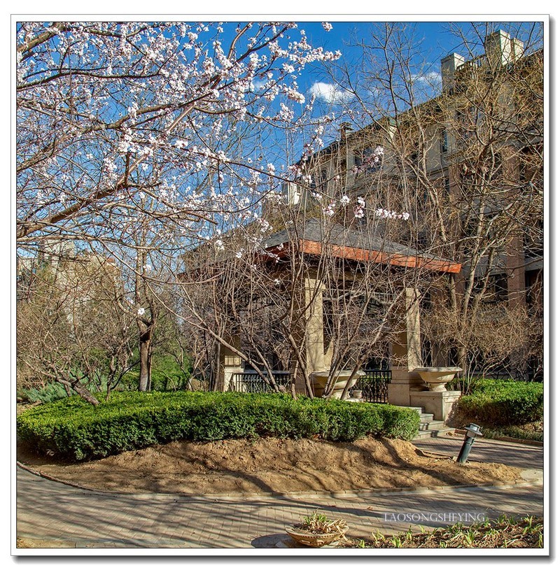 园区春色（2020）