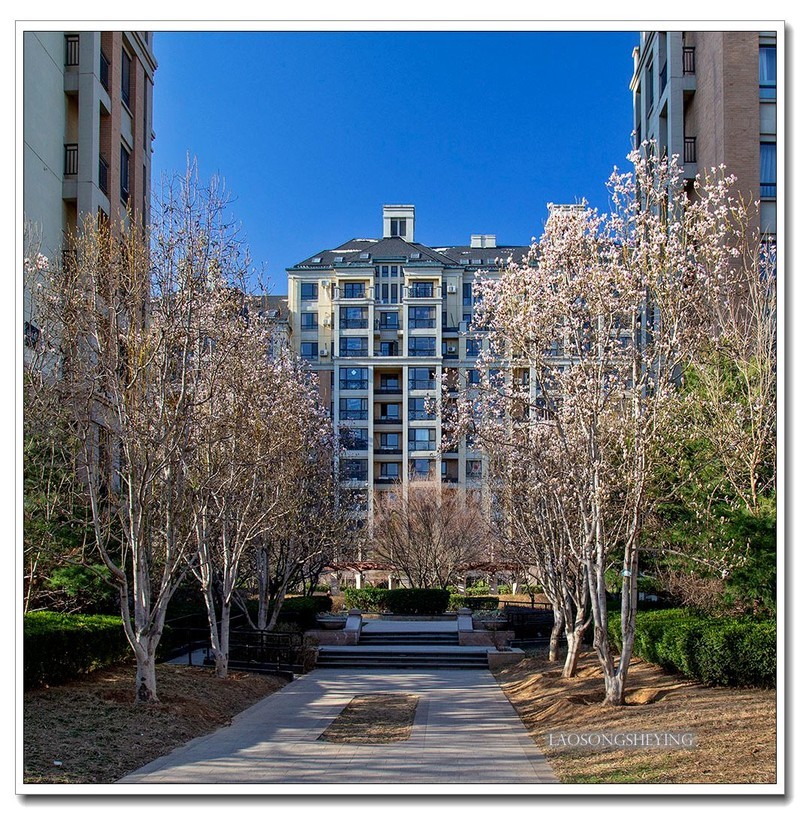 园区春色（2020）