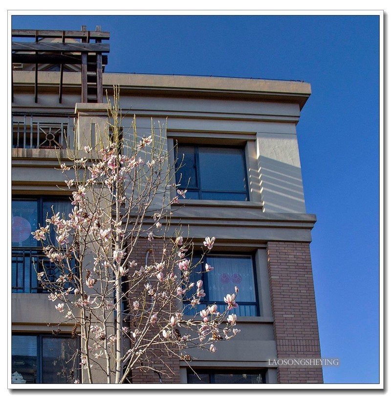 园区春色（2020）