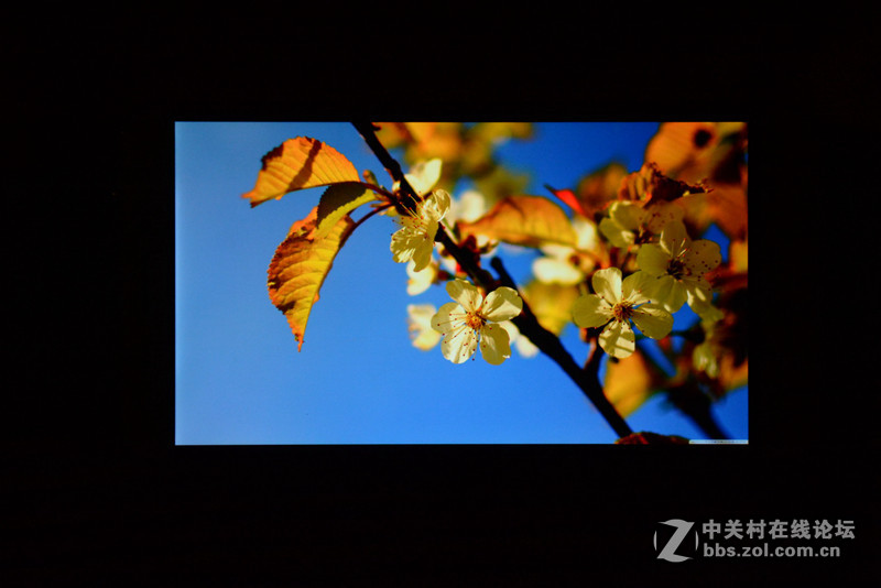 孤独行者--乐视超级手机1客观分析