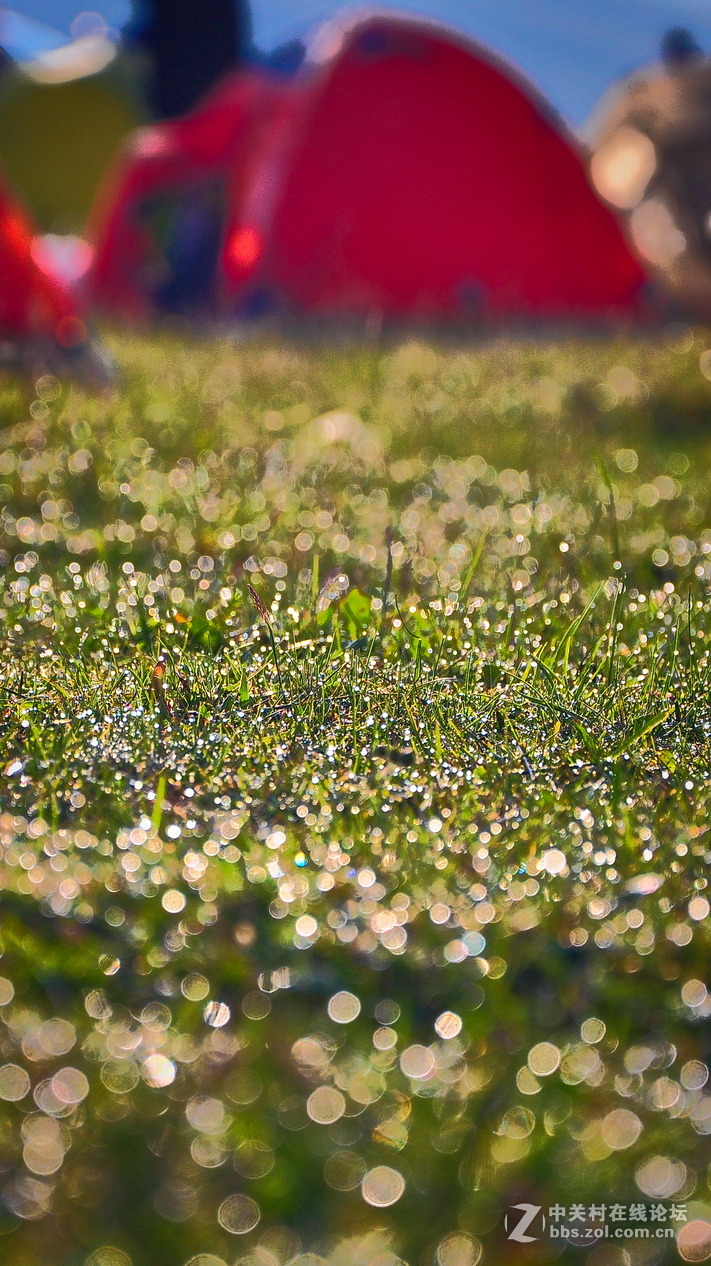 #P8max壁纸征集#+蔚然大草原