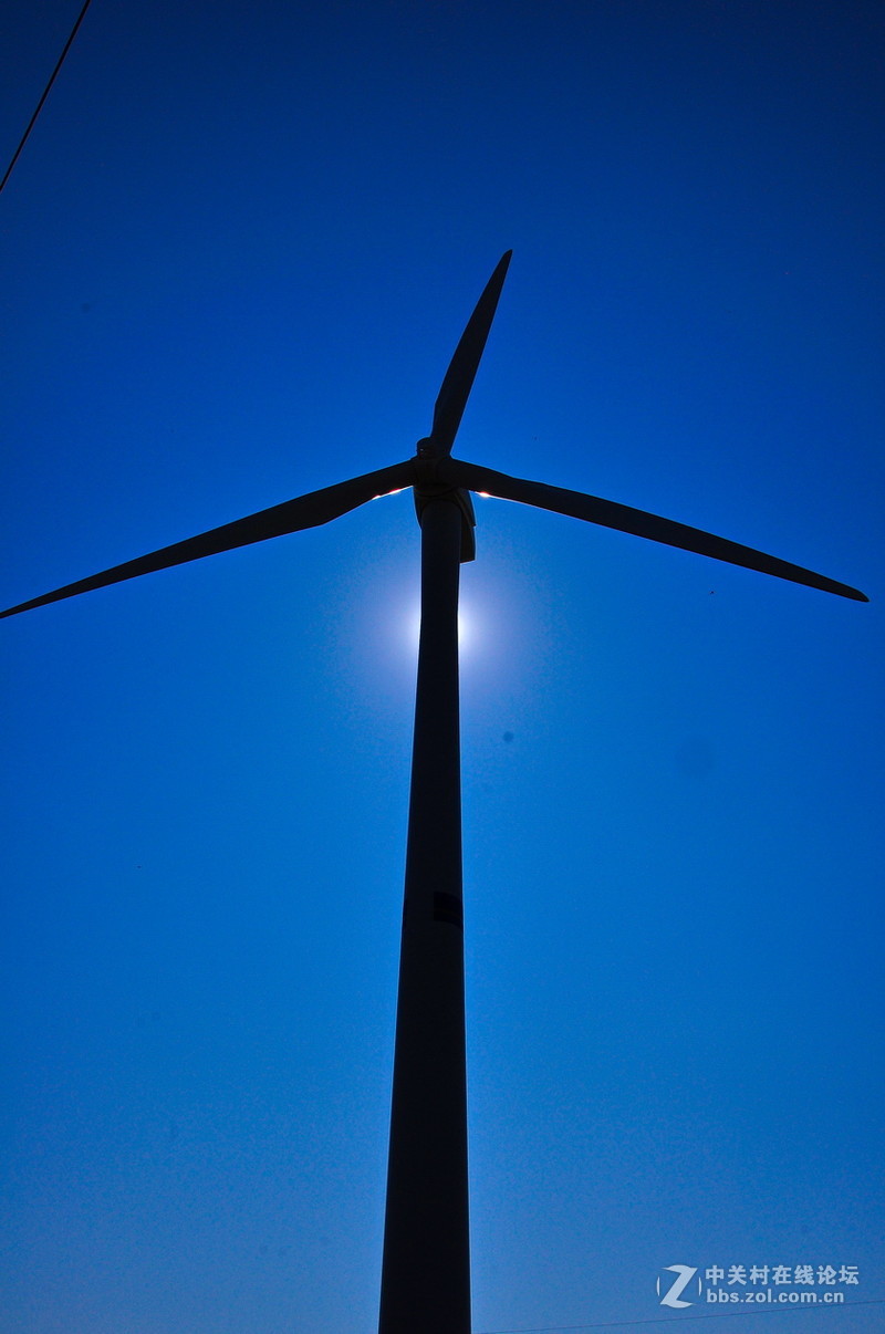 #P8max壁纸征集#+蔚然大草原