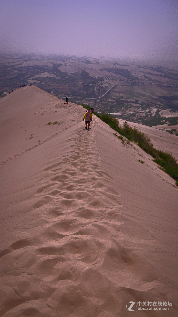 #P8max壁纸征集#+蔚然大草原