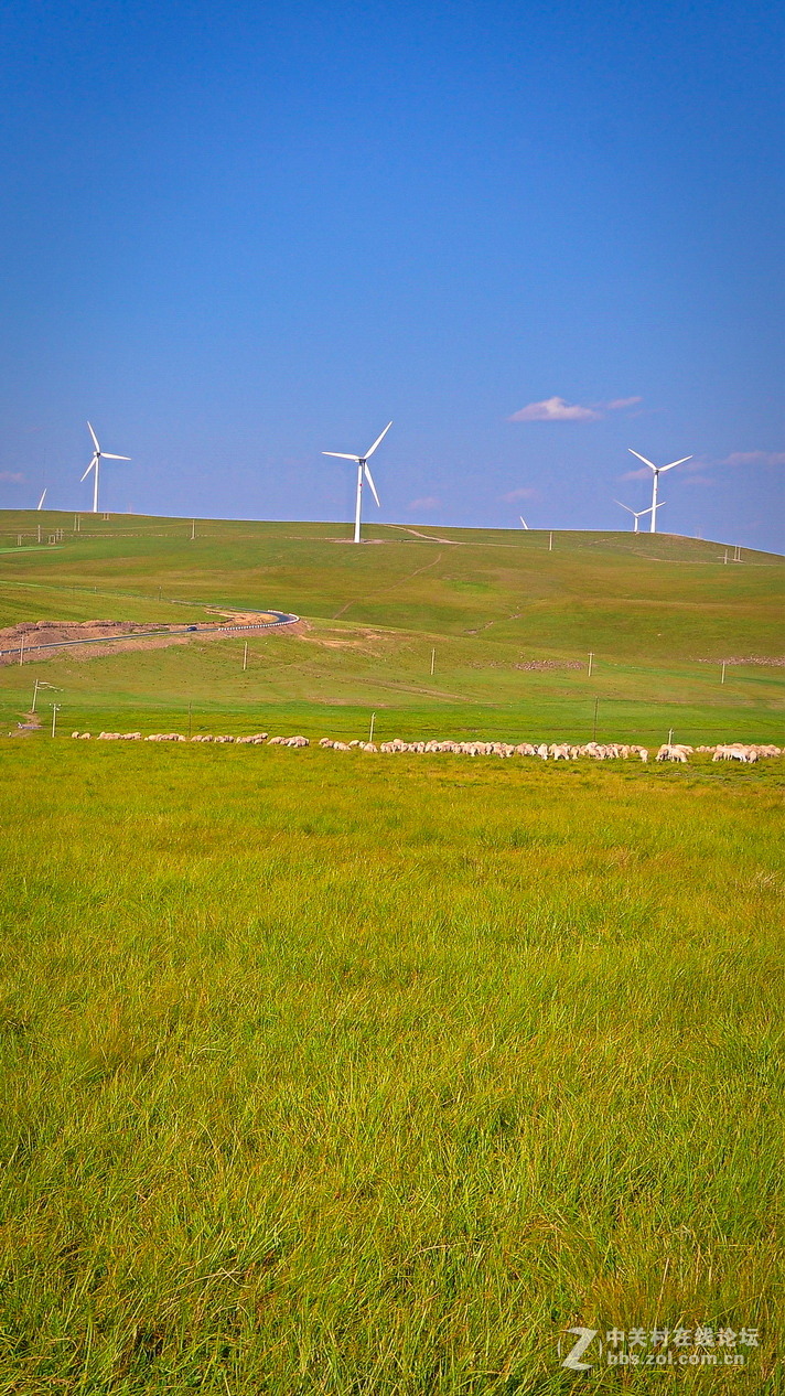 #P8max壁纸征集#+蔚然大草原