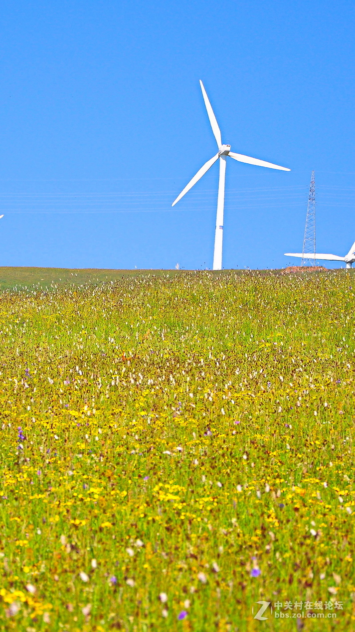 #P8max壁纸征集#+蔚然大草原