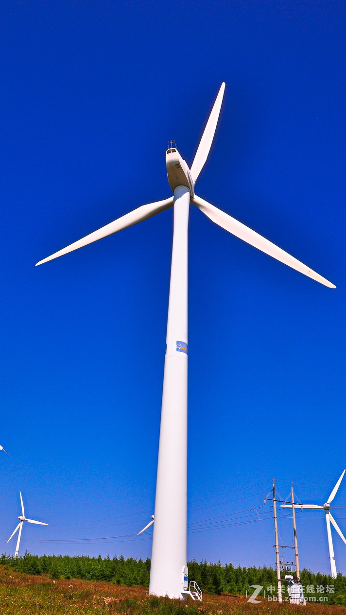 #P8max壁纸征集#+蔚然大草原