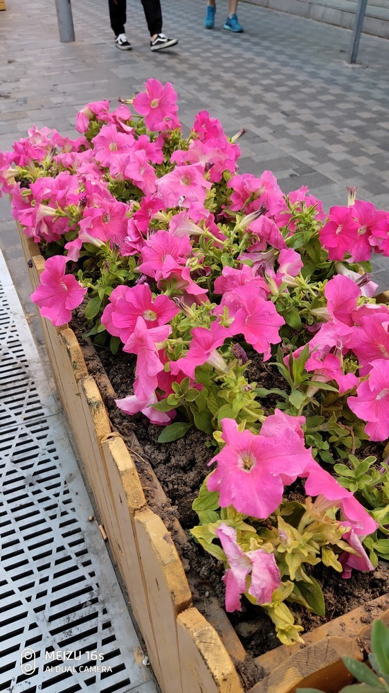 “逆潮流”的顺应“潮流”，这次必须得吹一波魅族16s