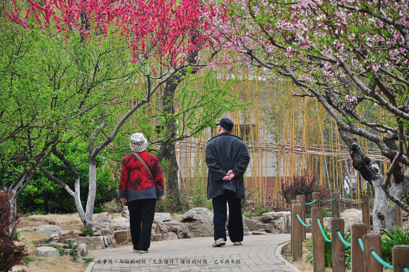 又是一年清明时，带上作品回家看看