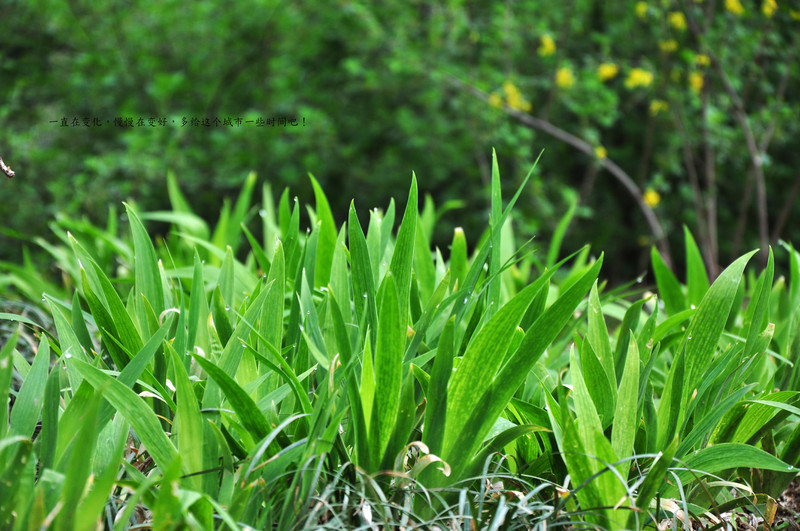 又是一年清明时，带上作品回家看看