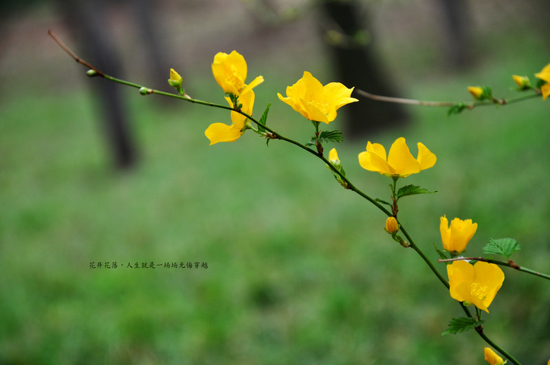 又是一年清明时，带上作品回家看看