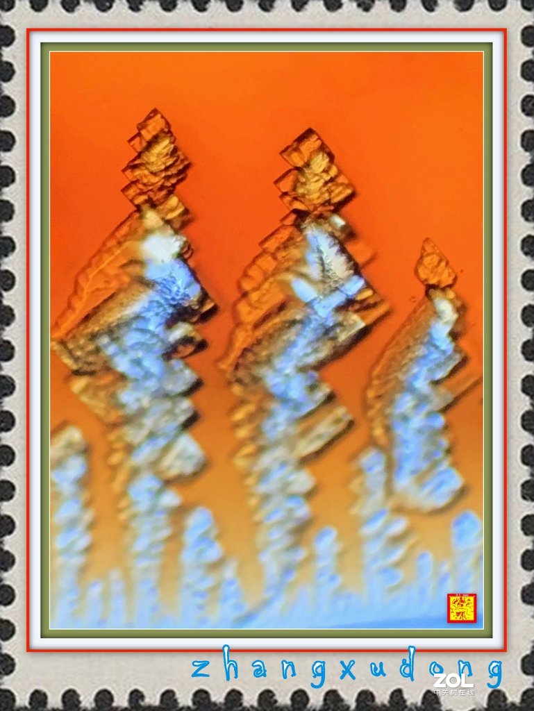 #版主坐堂# 2020年5月份微距星空(中国)优秀作品汇编