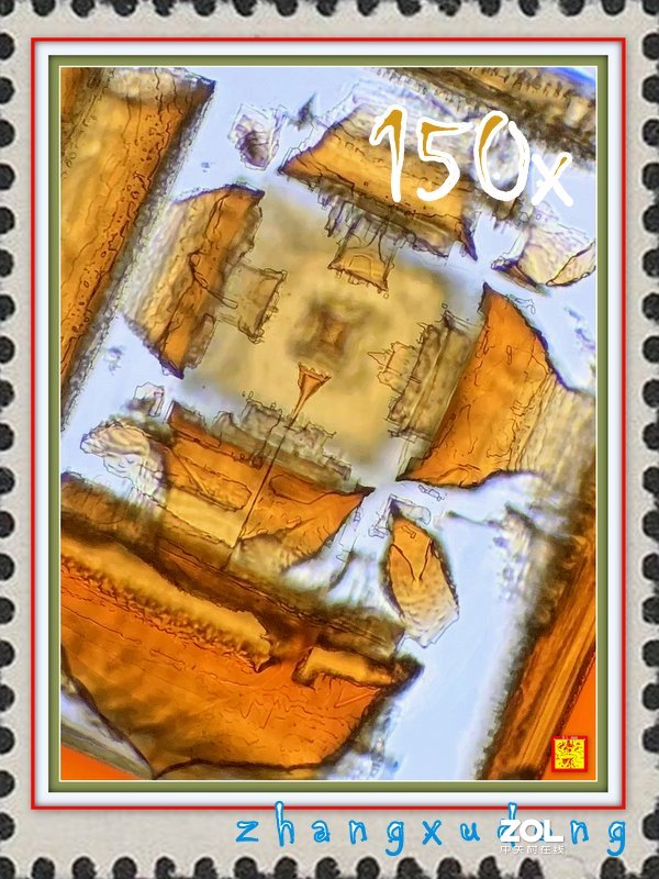 #版主坐堂# 2020年5月份微距星空(中国)优秀作品汇编