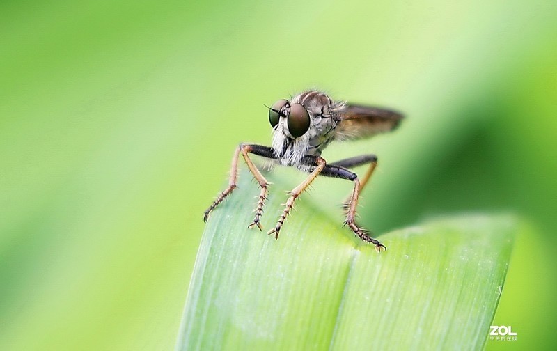 #版主坐堂# 2020年5月份微距星空(中国)优秀作品汇编
