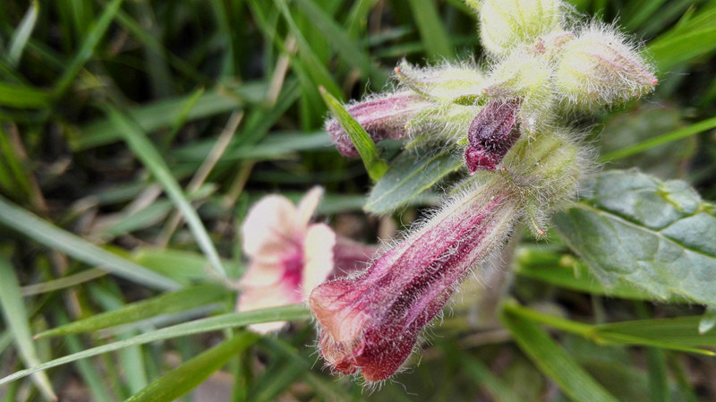 【超详细】荣耀6遇到小米4 说说手机拍照那点事