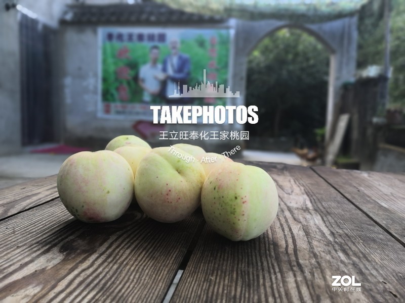 手机实拍 奉化王家桃园的奉化水蜜桃