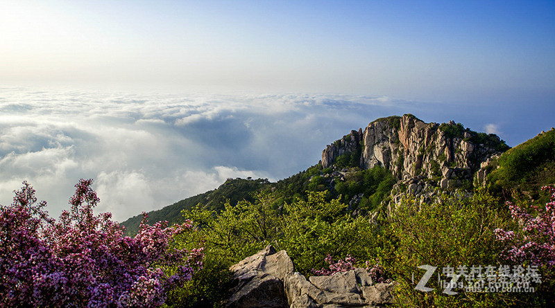 《D610星空(中国)2015年5月精华精选上榜作品展示》