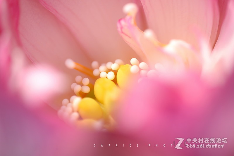 《D610星空(中国)2015年5月精华精选上榜作品展示》