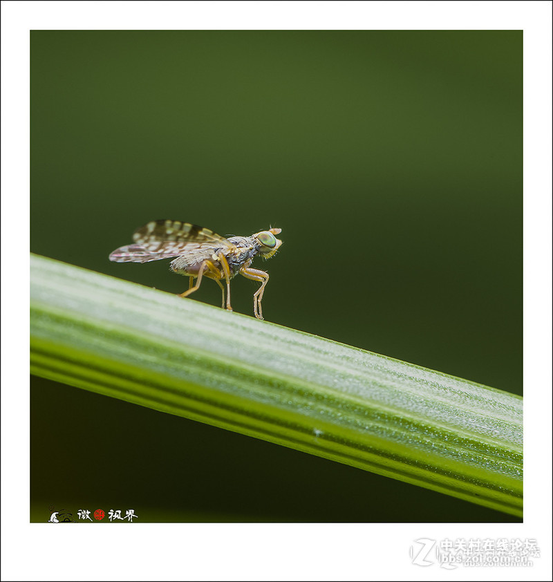 《D610星空(中国)2015年5月精华精选上榜作品展示》