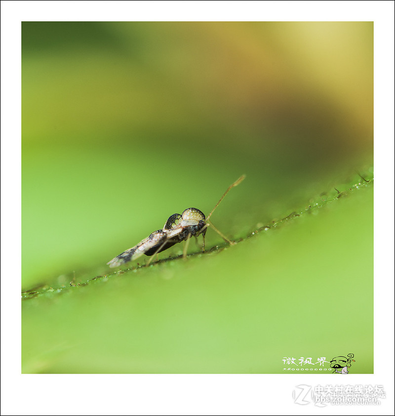 《D610星空(中国)2015年5月精华精选上榜作品展示》