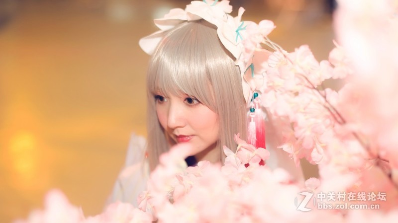 风云聚妖都，五一琶洲ACG之旅，腿多杀猫