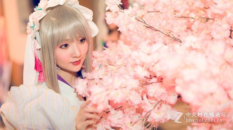 风云聚妖都，五一琶洲ACG之旅，腿多杀猫