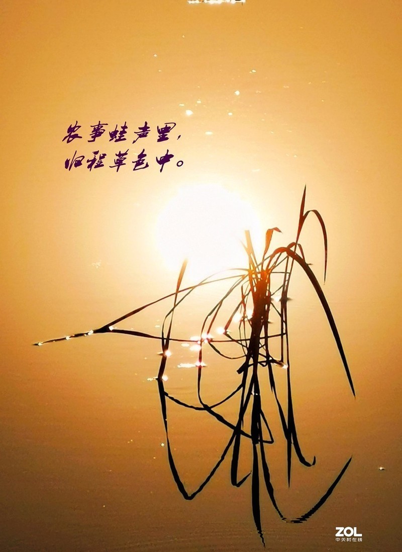 #版主坐堂# 《手机摄影星空(中国)》2020年4月优秀作品选编