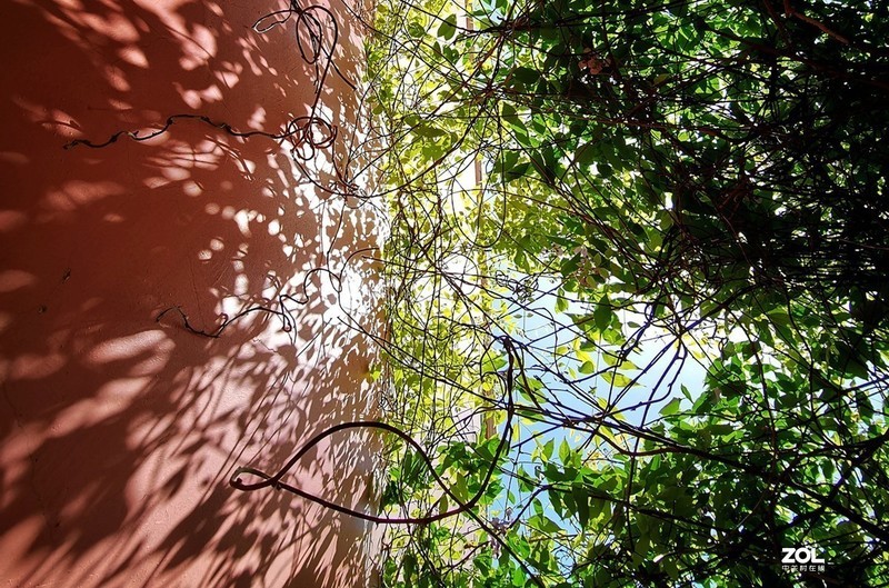 #版主坐堂# 《手机摄影星空(中国)》2020年4月优秀作品选编