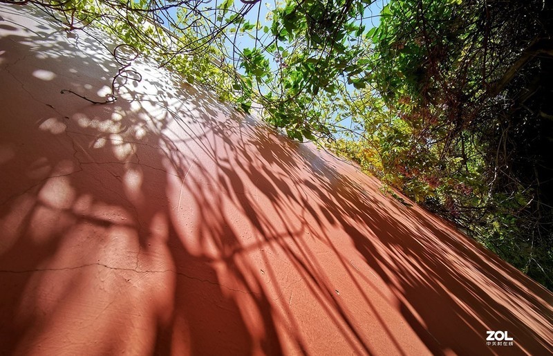 #版主坐堂# 《手机摄影星空(中国)》2020年4月优秀作品选编