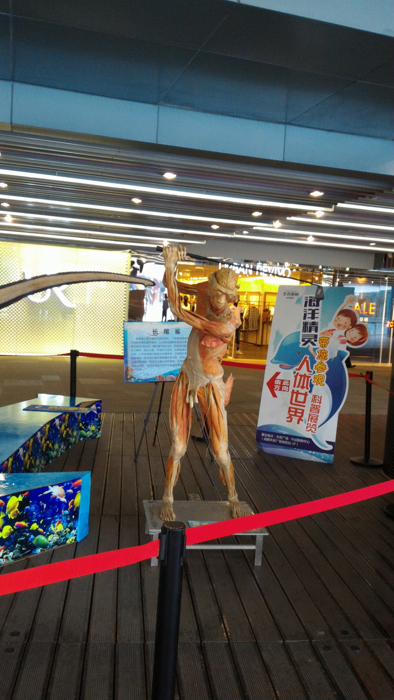 华硕ZenFone2顶配版随手拍