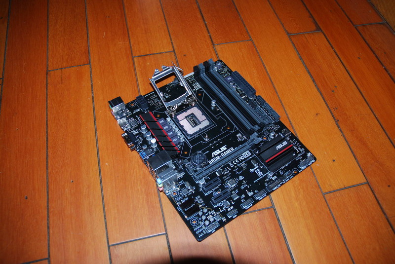 冰冰凉、玩攒机！！大白抵御酷暑！！就是这么任性！！