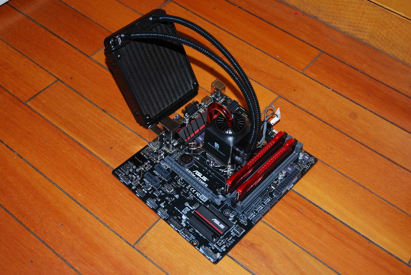 冰冰凉、玩攒机！！大白抵御酷暑！！就是这么任性！！