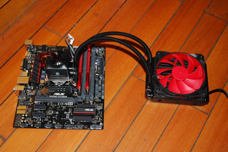 冰冰凉、玩攒机！！大白抵御酷暑！！就是这么任性！！