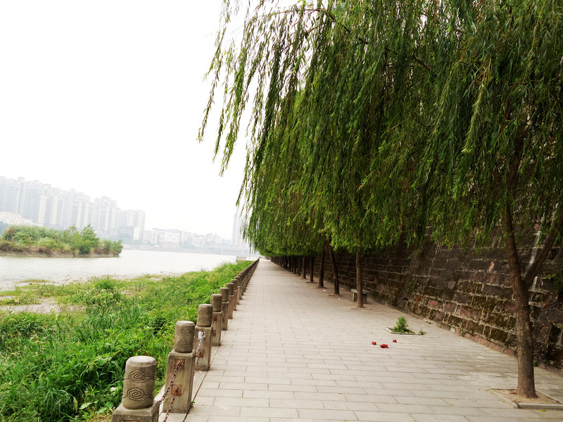 相位对焦加入，对焦速度提升，vivo X5Pro拍照体验