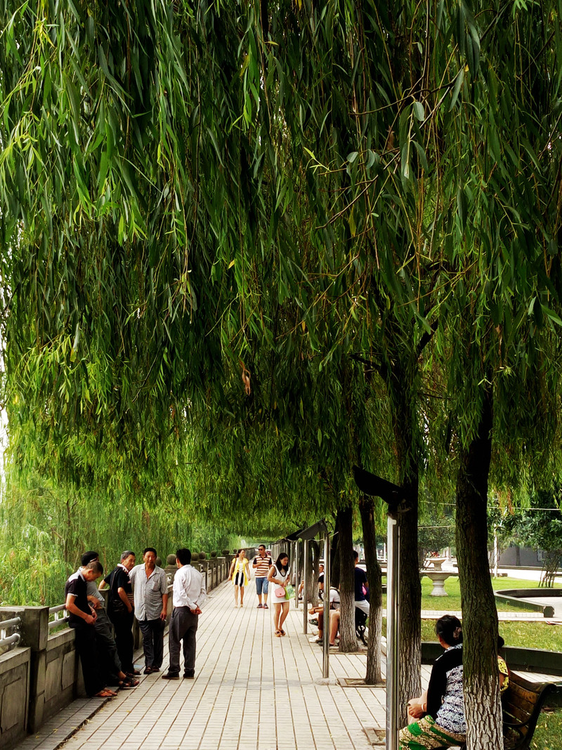 相位对焦加入，对焦速度提升，vivo X5Pro拍照体验