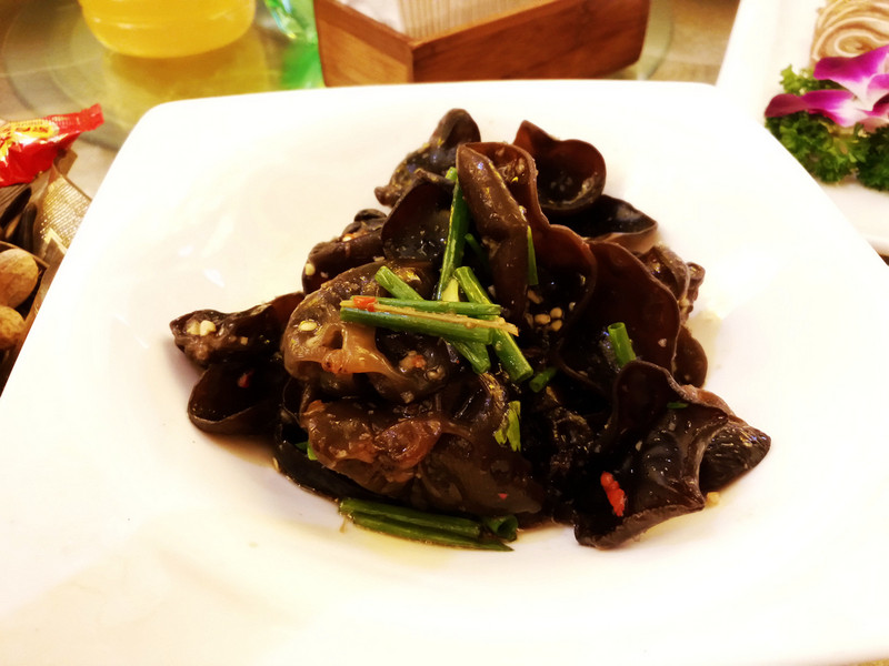 相位对焦加入，对焦速度提升，vivo X5Pro拍照体验