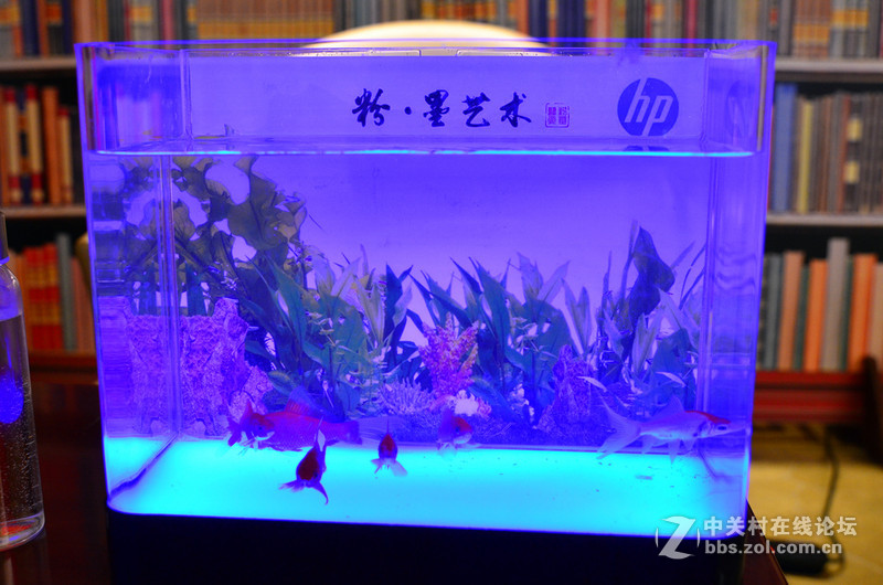 #打出新境界#“超能小白”惠普M277dw等“粉墨”登场