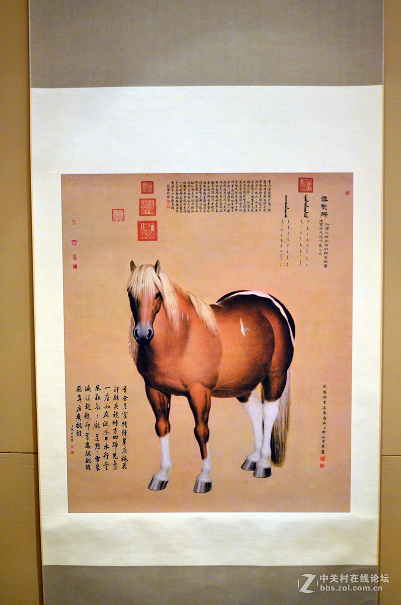 #打出新境界#“超能小白”惠普M277dw等“粉墨”登场