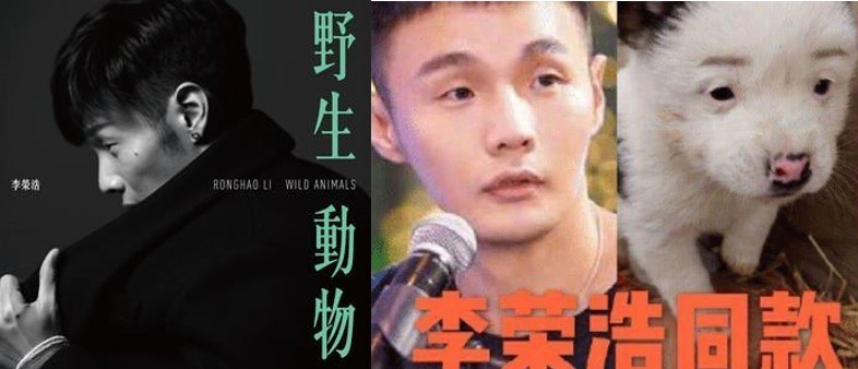 薛之谦为何要唱“动物世界“，背后的原因竟然是？