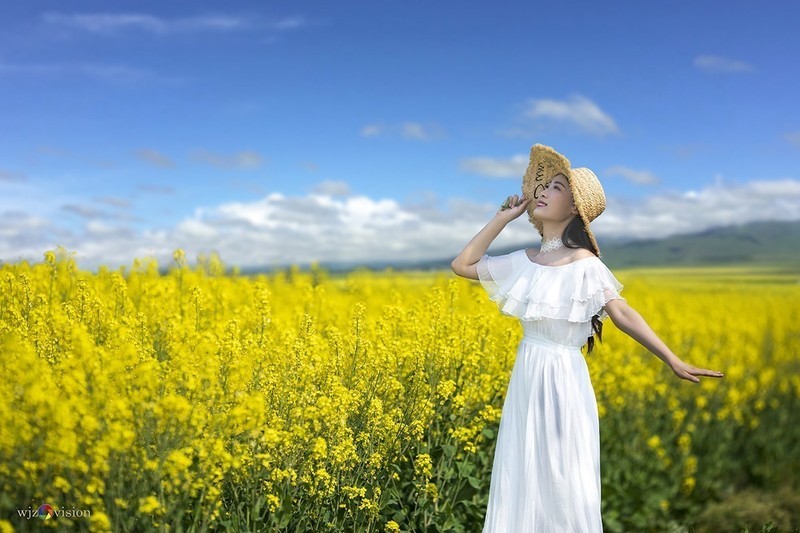 释怀
