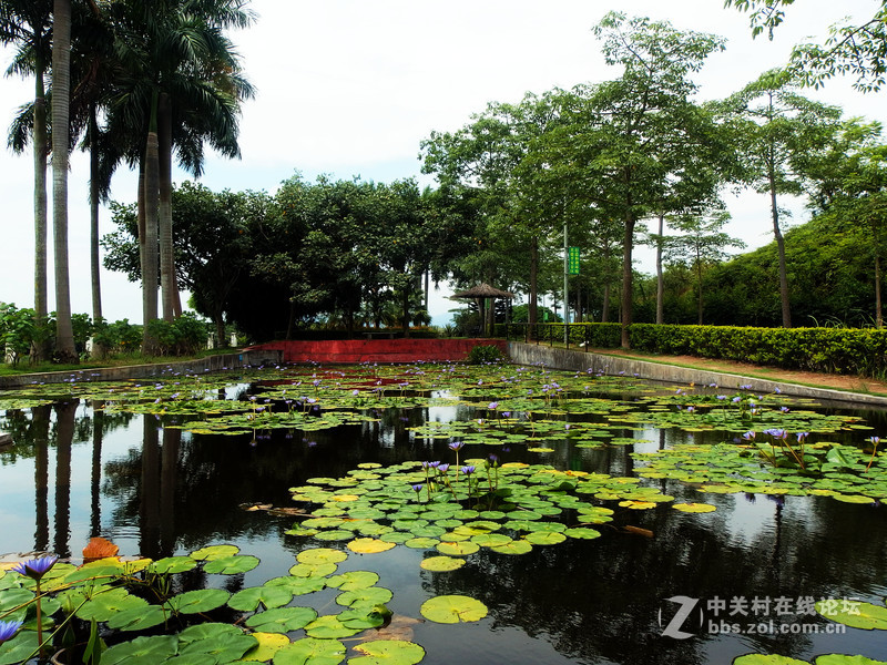 惠东永记生态园