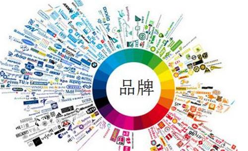 杭州志卓科技:落地执行企业品牌推广是保障!