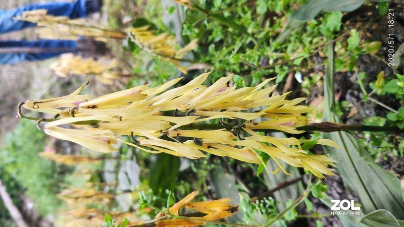 五一随拍，初夏的味道