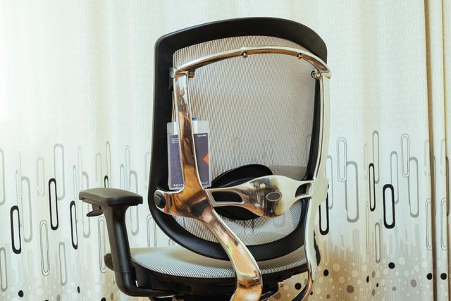 提防颈椎等疾病，人体工学椅值得选吗？Ergoup致炫人体工学椅 体验分享