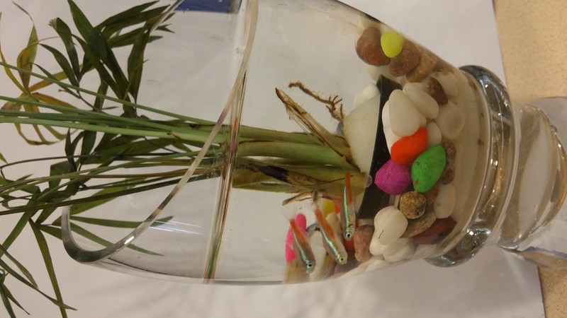 G3 电信版日常拍照效果欣赏